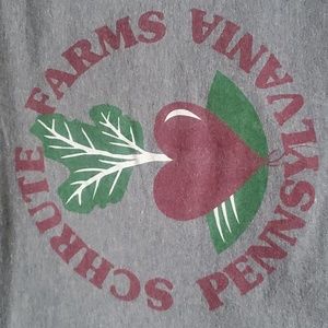 THE OFFICE | Schrute Farms Pennsylvania Gray Womens T-Shirt Size Medium